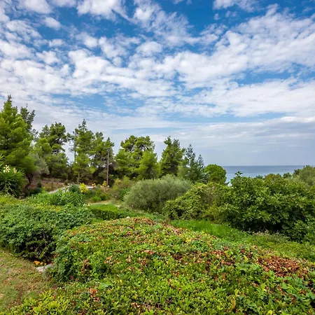 Eden Near The *